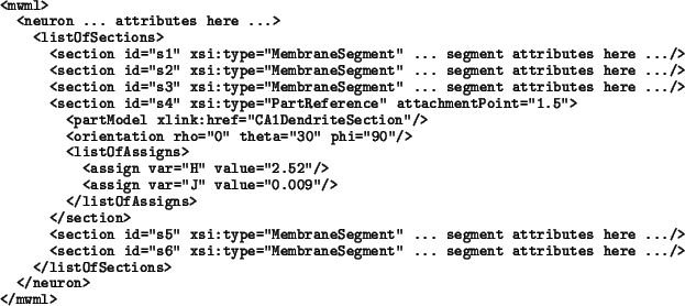 \begin{example}
<mwml>
<neuron ... attributes here ...>
<listOfSections>
<sec...
...egment attributes here .../>
</listOfSections>
</neuron>
</mwml>
\end{example}