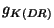 $ g_{K(DR)}$