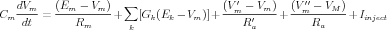    dVm-    (Em----Vm)-  ∑                  (V′m---Vm)--  (V′m′--VM-)-
Cm  dt  =     R       +    [Gk(Ek  - Vm)]+     R ′    +      R      + Iinject
                m        k                      a            a
